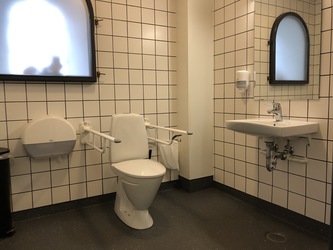 Ribe Vikingecenter - Toilet at the café