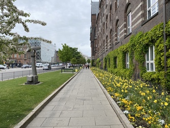 Københavns Rådhus - Valgsted