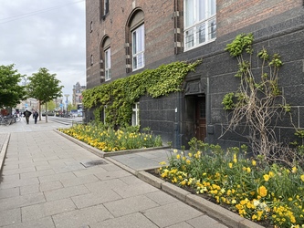 Københavns Rådhus - Valgsted