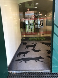 Det Grønne Museum -  Udstilling