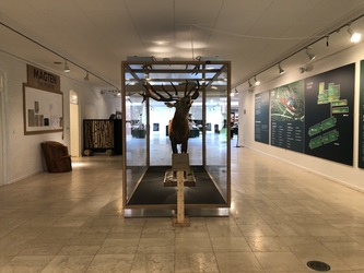 Det Grønne Museum -  Udstilling