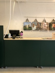 Det Grønne Museum -  Udstilling