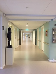 Plejehjemmet Svanepunktet
