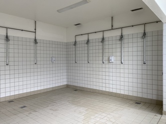 Bavnehøj Friluftsbad