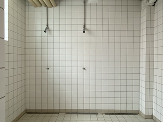 Svanemøllehallen